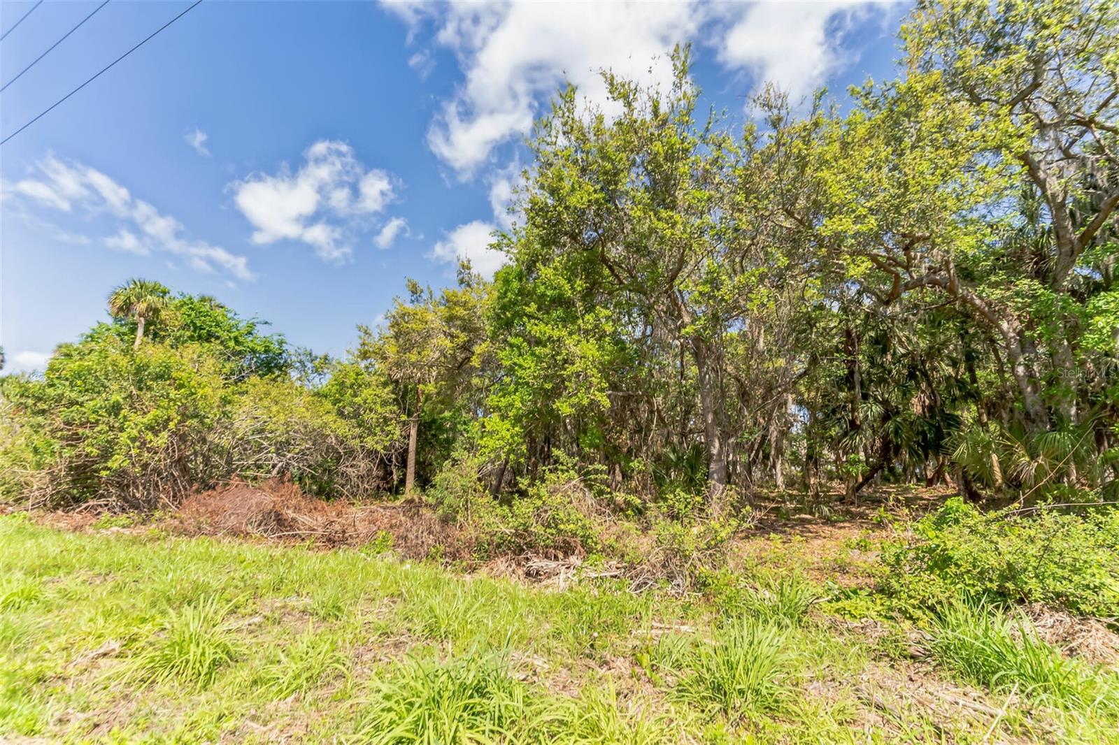 3305 SPARTINA AVE, MERRITT ISLAND, FL, 32953