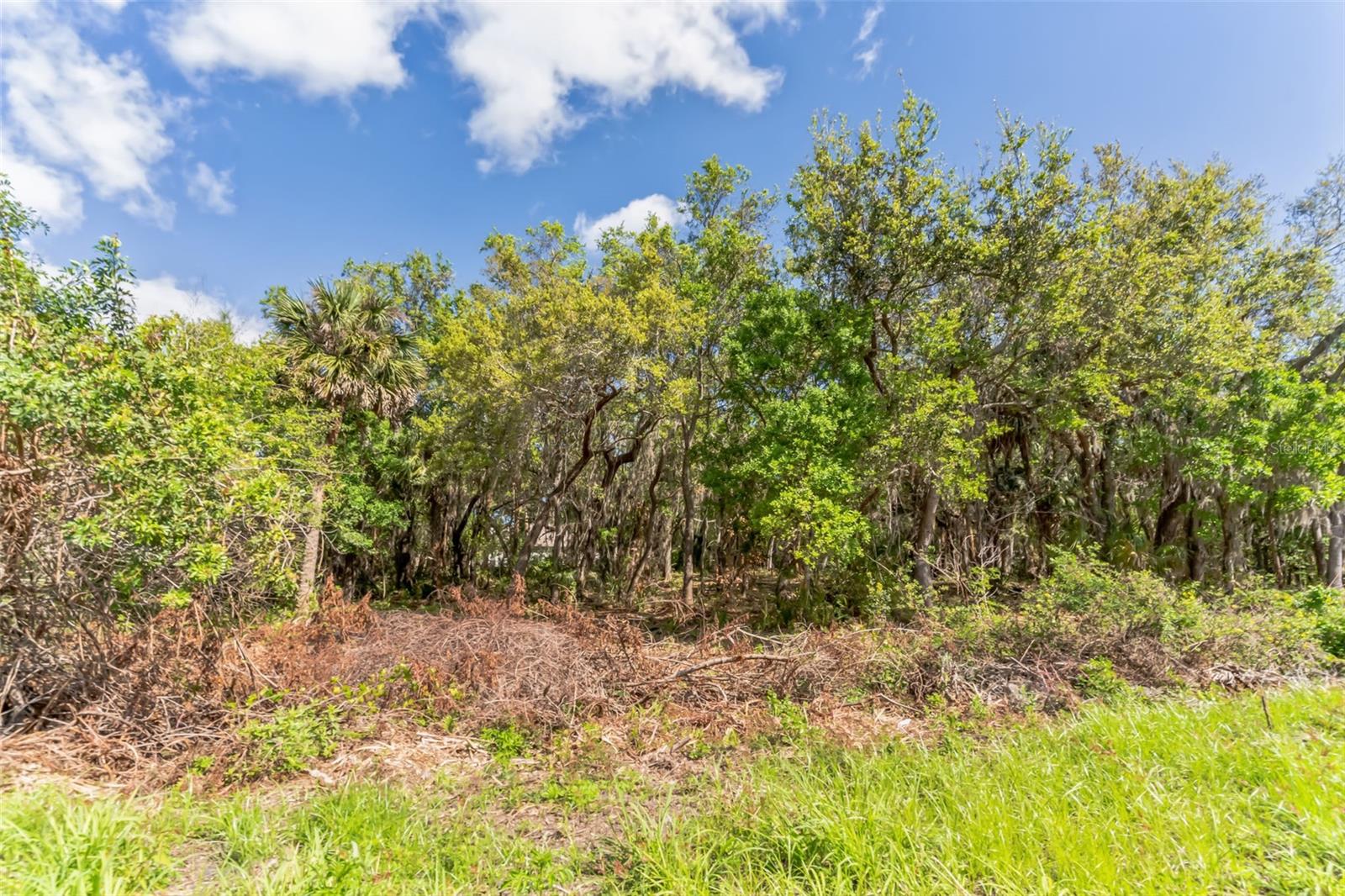 3305 SPARTINA AVE, MERRITT ISLAND, FL, 32953