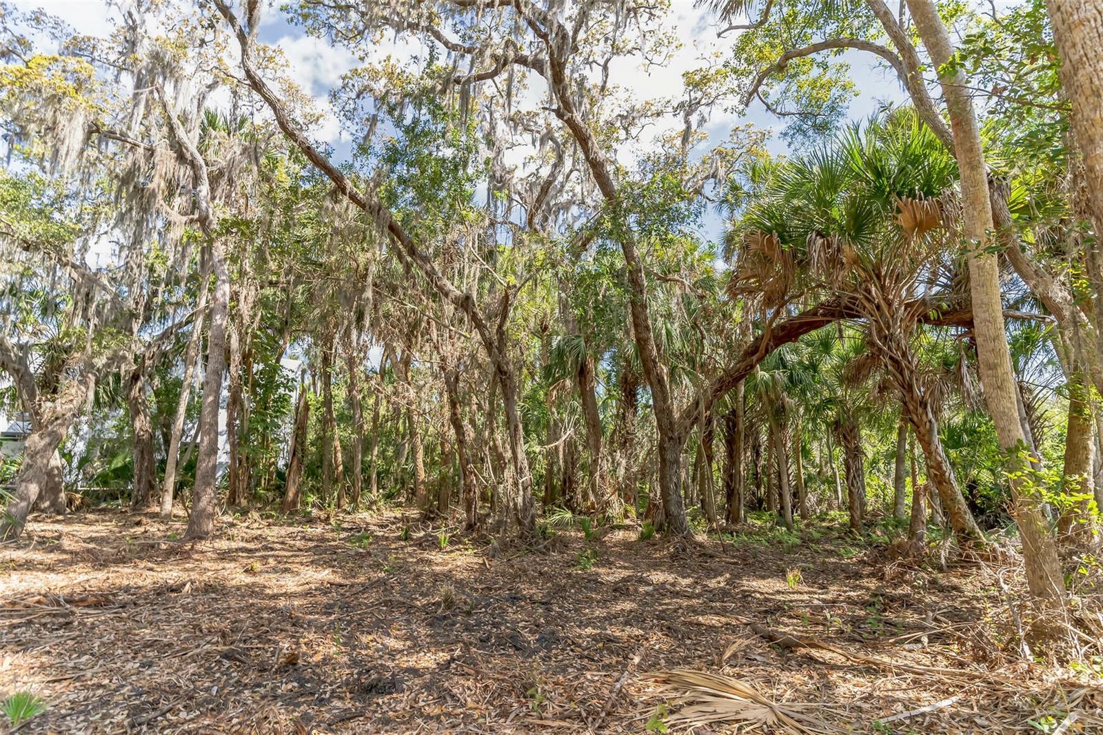 3305 SPARTINA AVE, MERRITT ISLAND, FL, 32953