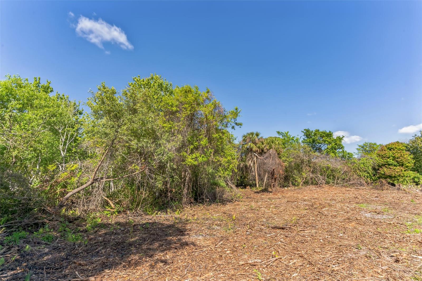 3305 SPARTINA AVE, MERRITT ISLAND, FL, 32953