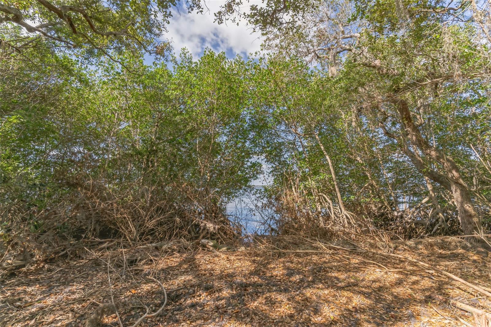 3305 SPARTINA AVE, MERRITT ISLAND, FL, 32953