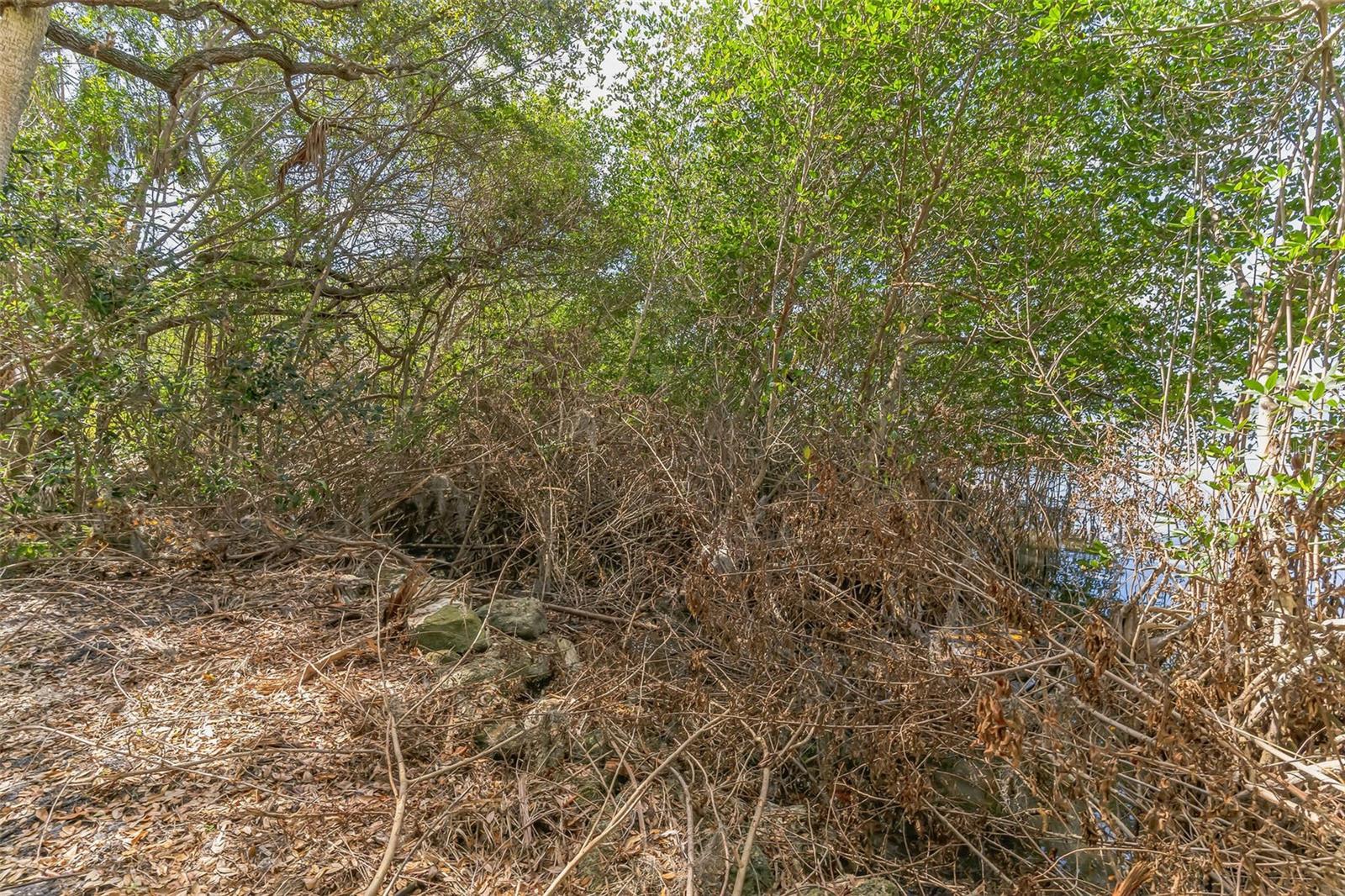 3305 SPARTINA AVE, MERRITT ISLAND, FL, 32953