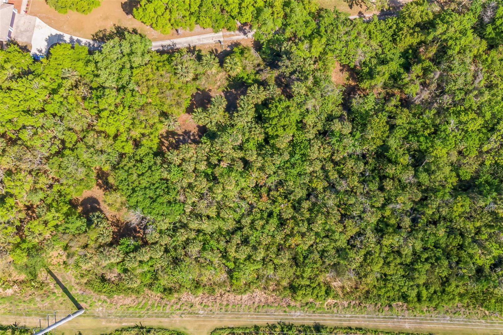 3305 SPARTINA AVE, MERRITT ISLAND, FL, 32953