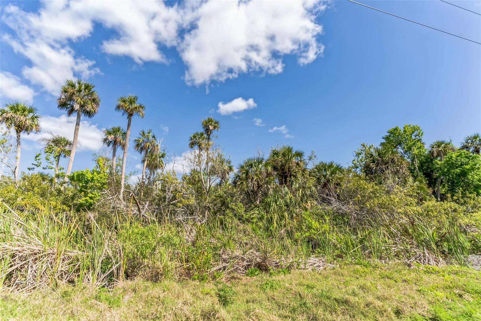 3305 SPARTINA AVE, MERRITT ISLAND, FL, 32953