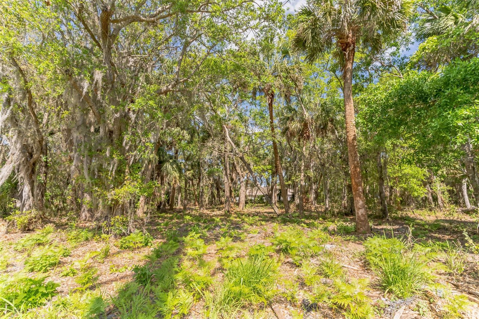 3305 SPARTINA AVE, MERRITT ISLAND, FL, 32953