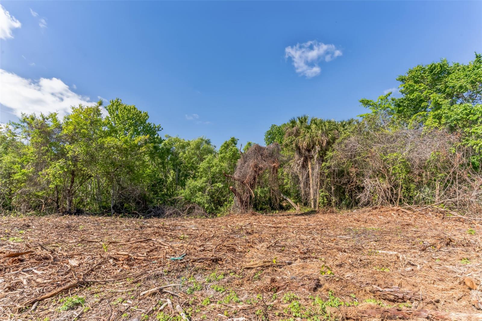 3305 SPARTINA AVE, MERRITT ISLAND, FL, 32953