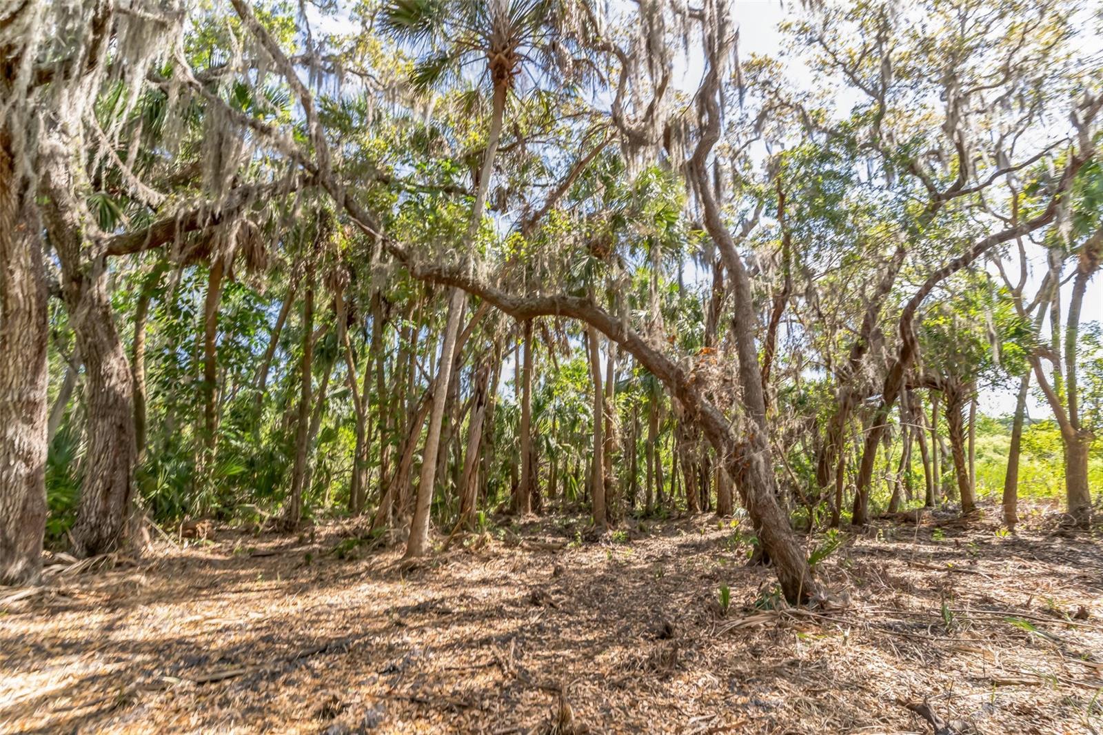 3305 SPARTINA AVE, MERRITT ISLAND, FL, 32953