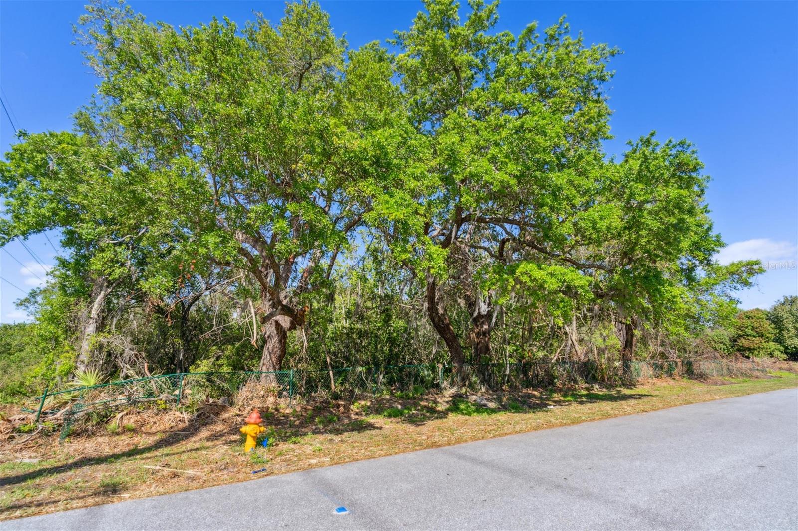 3305 SPARTINA AVE, MERRITT ISLAND, FL, 32953