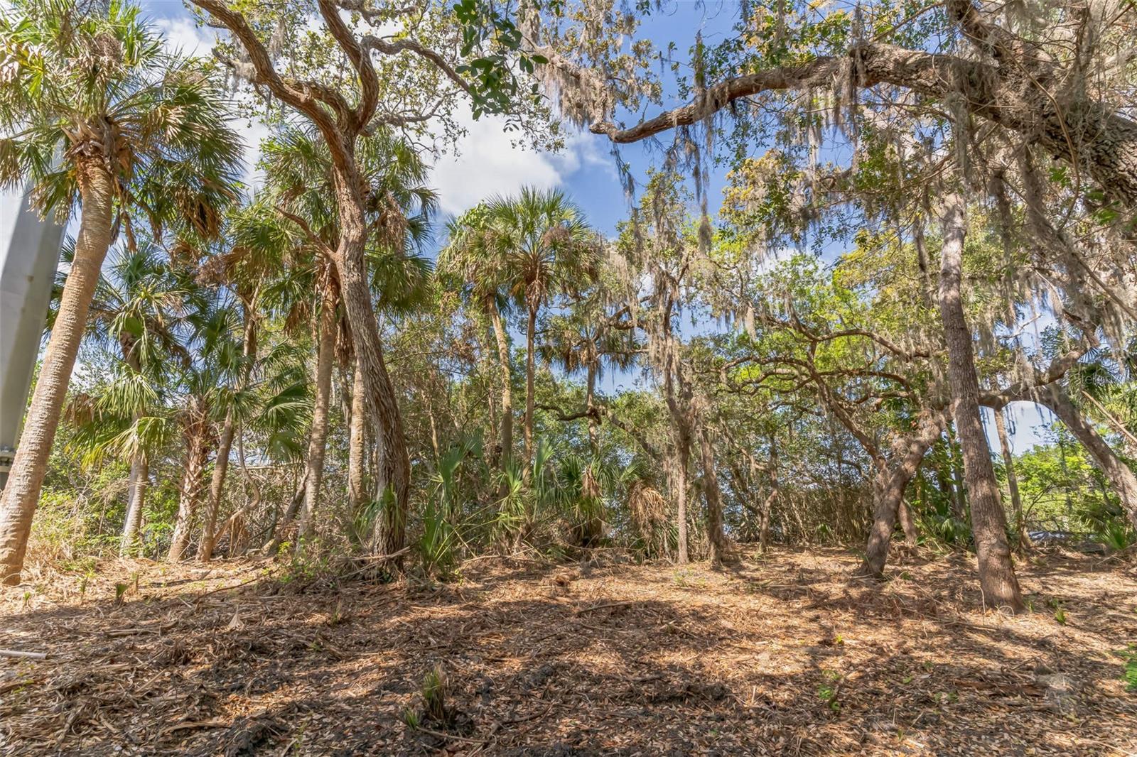 3305 SPARTINA AVE, MERRITT ISLAND, FL, 32953