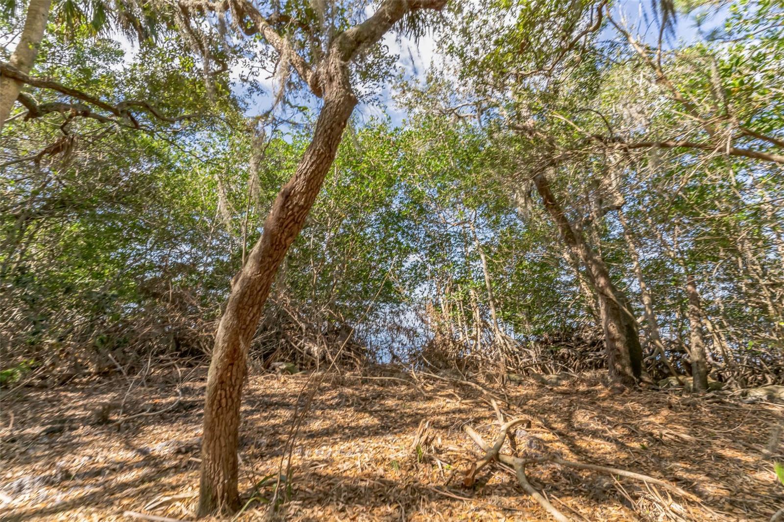 3305 SPARTINA AVE, MERRITT ISLAND, FL, 32953