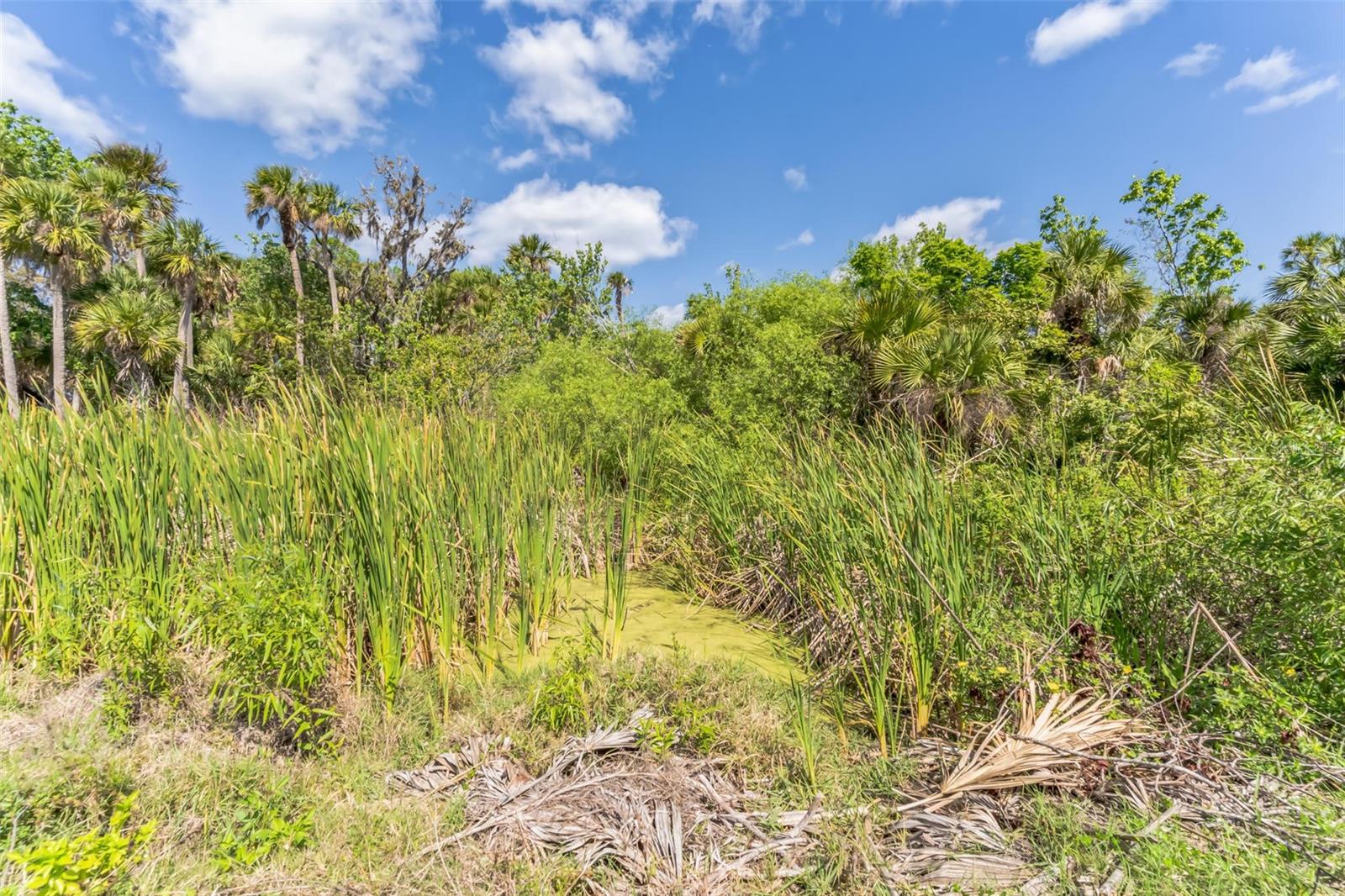 3305 SPARTINA AVE, MERRITT ISLAND, FL, 32953