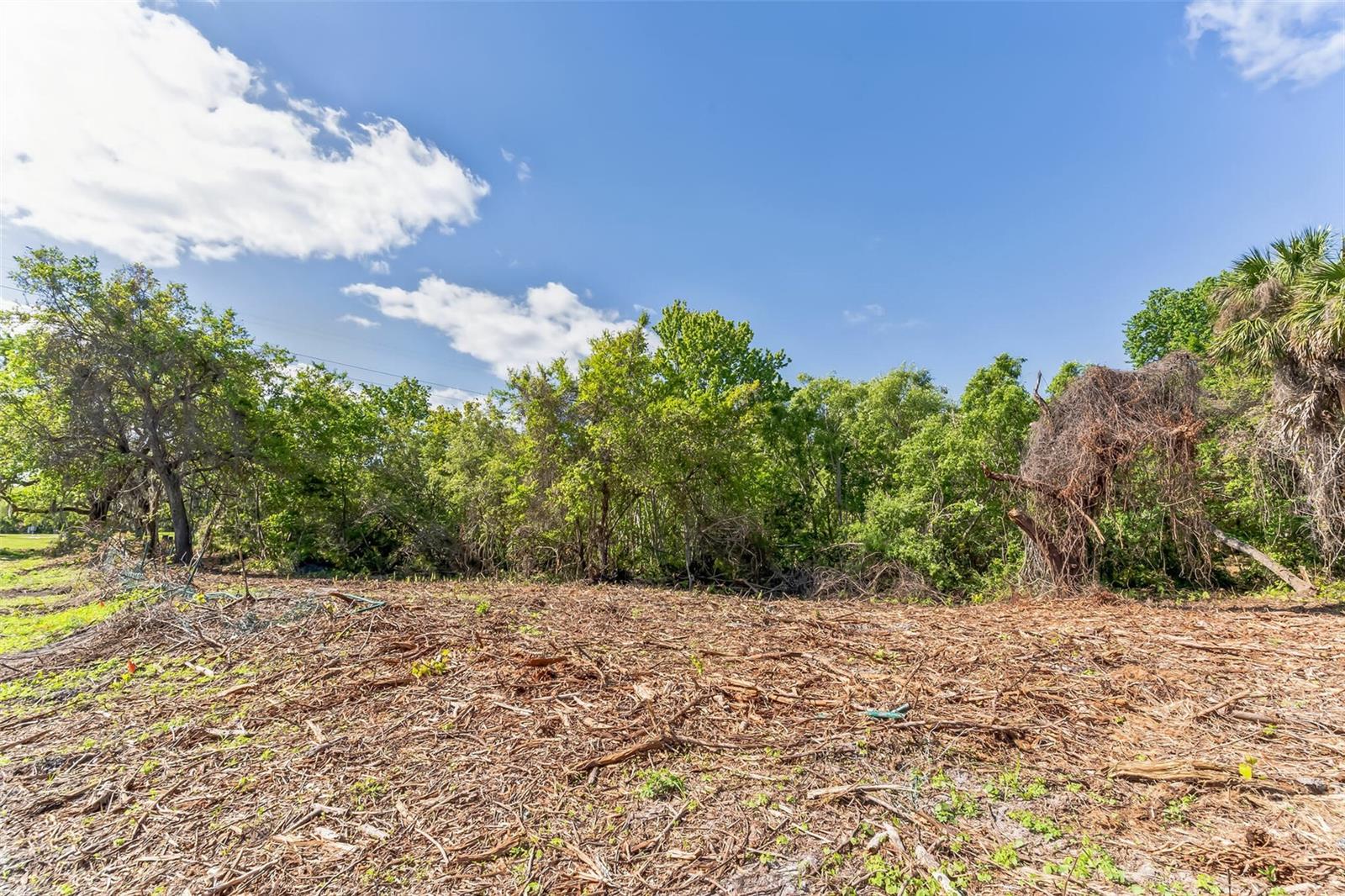 3305 SPARTINA AVE, MERRITT ISLAND, FL, 32953