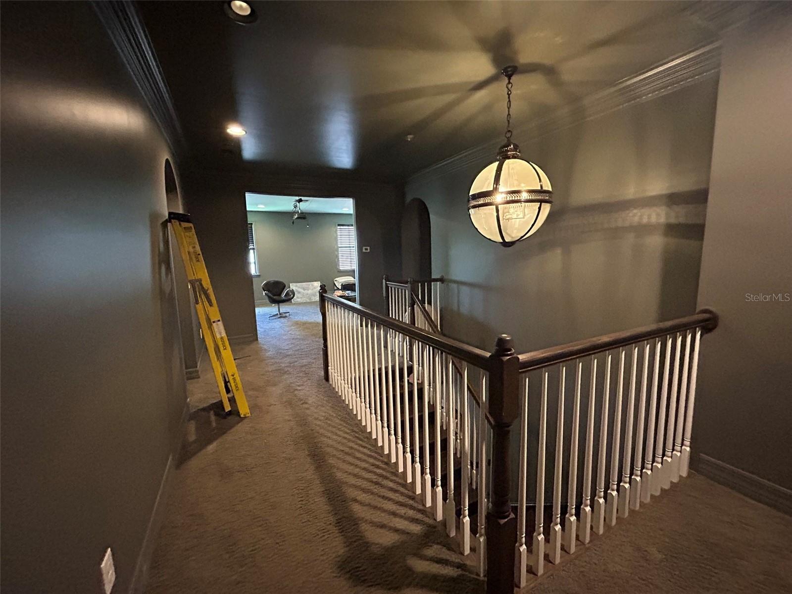 14320 AVON FARMS DR, TAMPA, FL, 33618