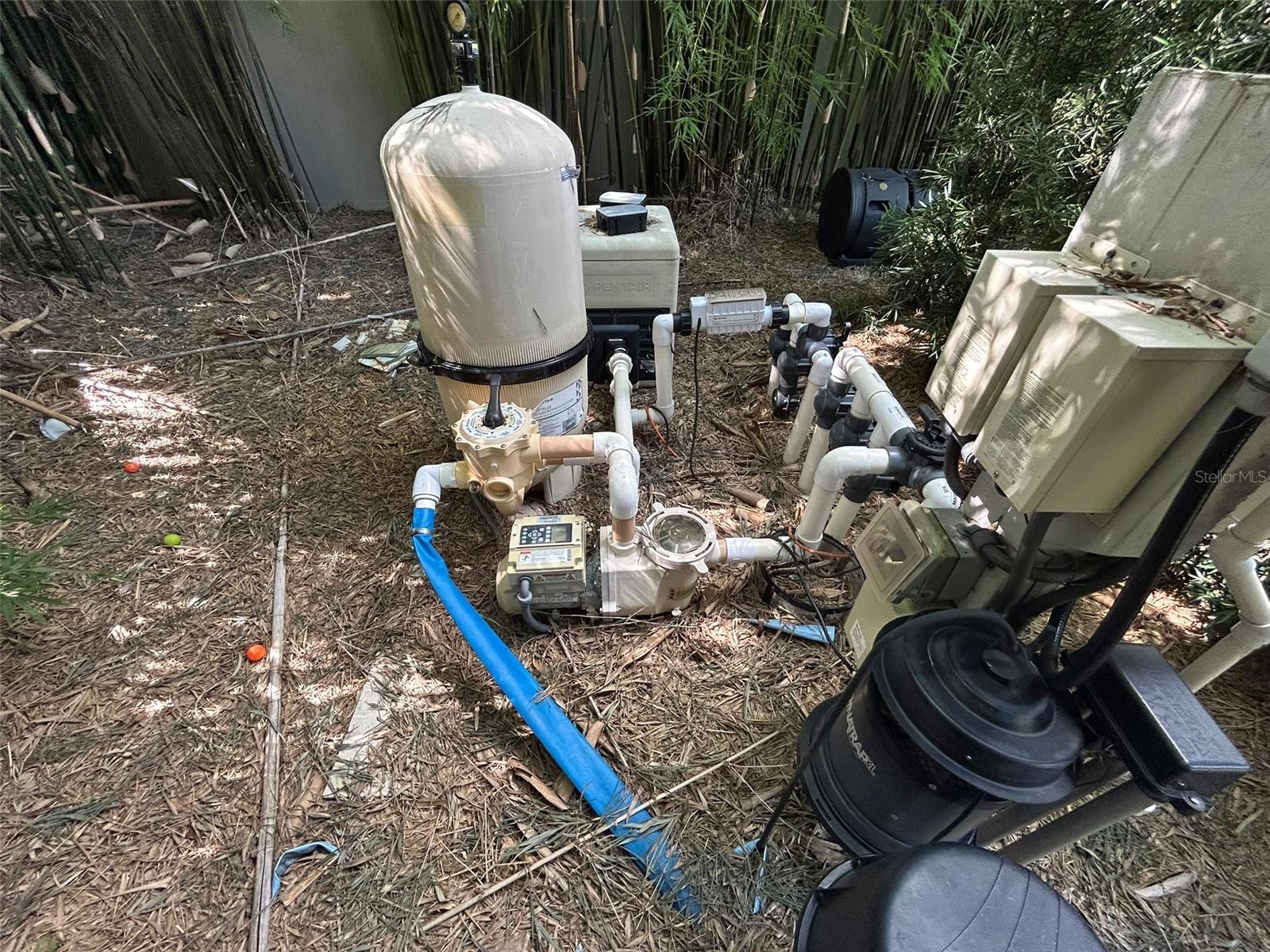 14320 AVON FARMS DR, TAMPA, FL, 33618