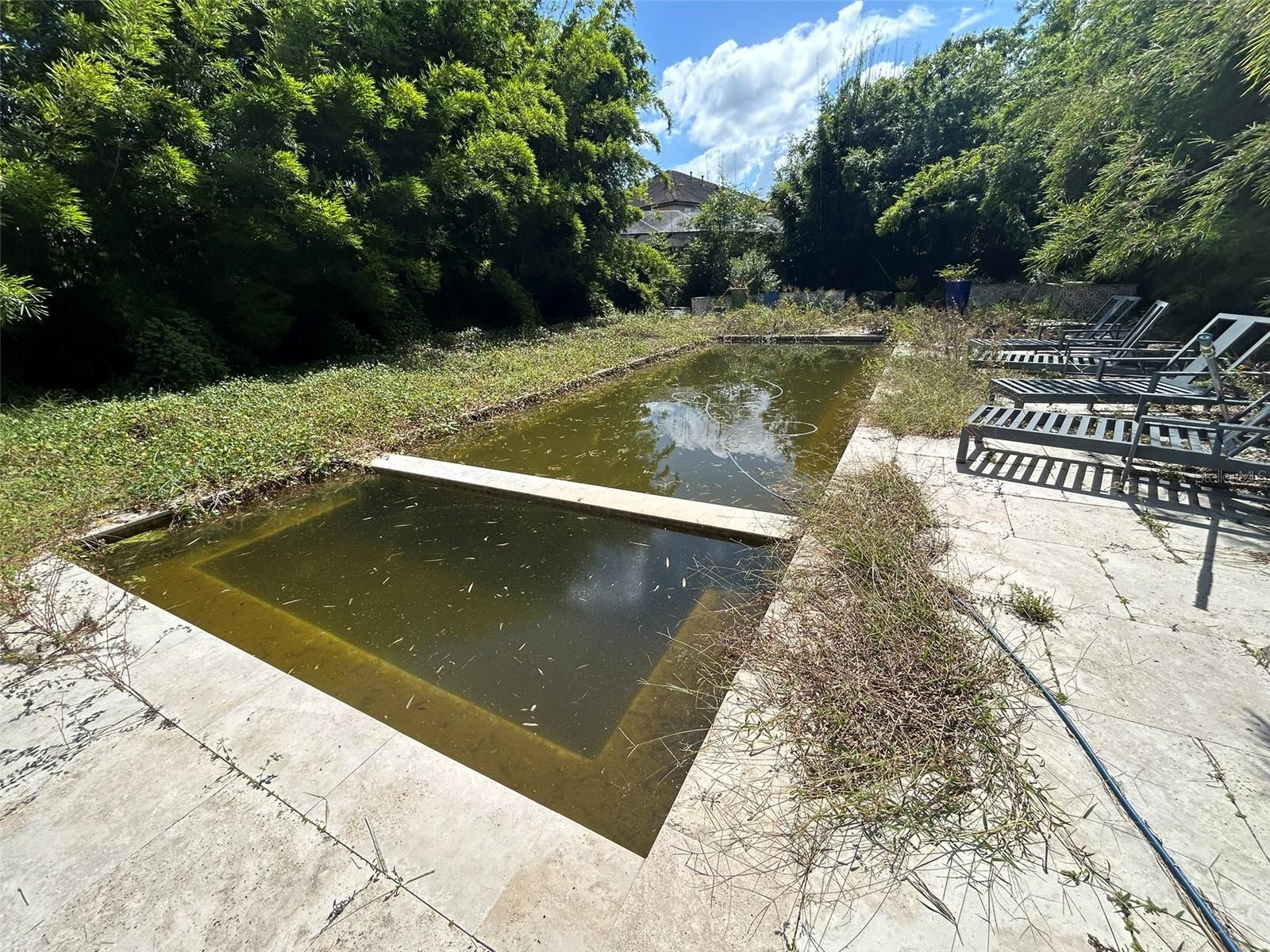 14320 AVON FARMS DR, TAMPA, FL, 33618