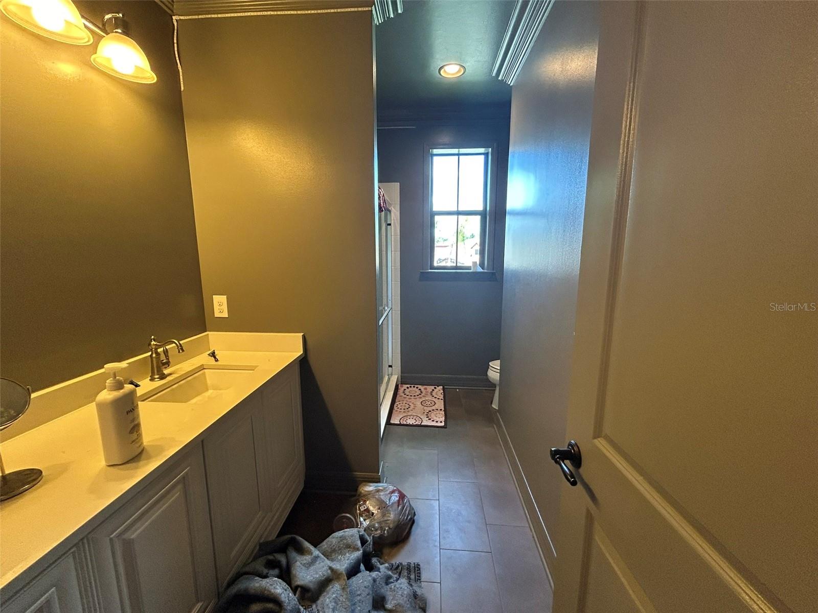 14320 AVON FARMS DR, TAMPA, FL, 33618