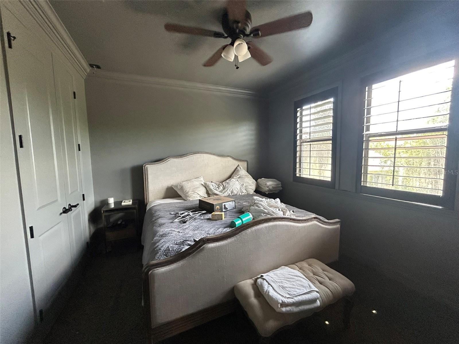 14320 AVON FARMS DR, TAMPA, FL, 33618