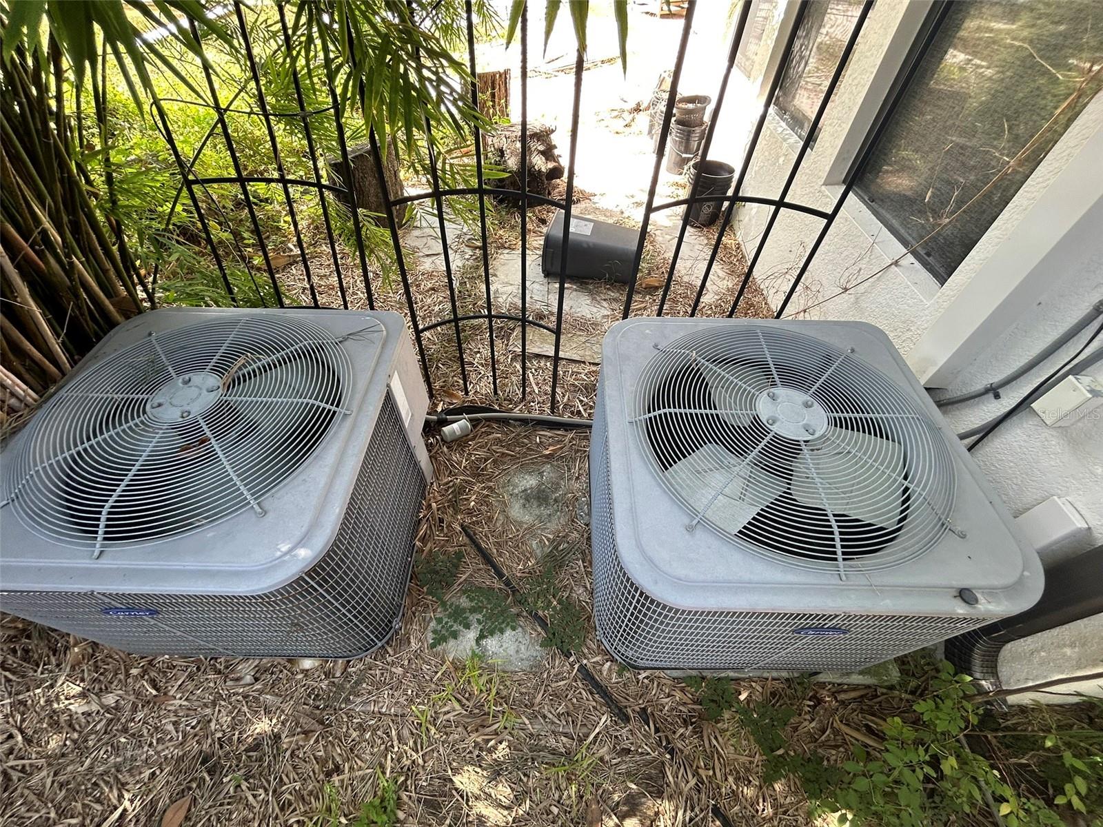 14320 AVON FARMS DR, TAMPA, FL, 33618