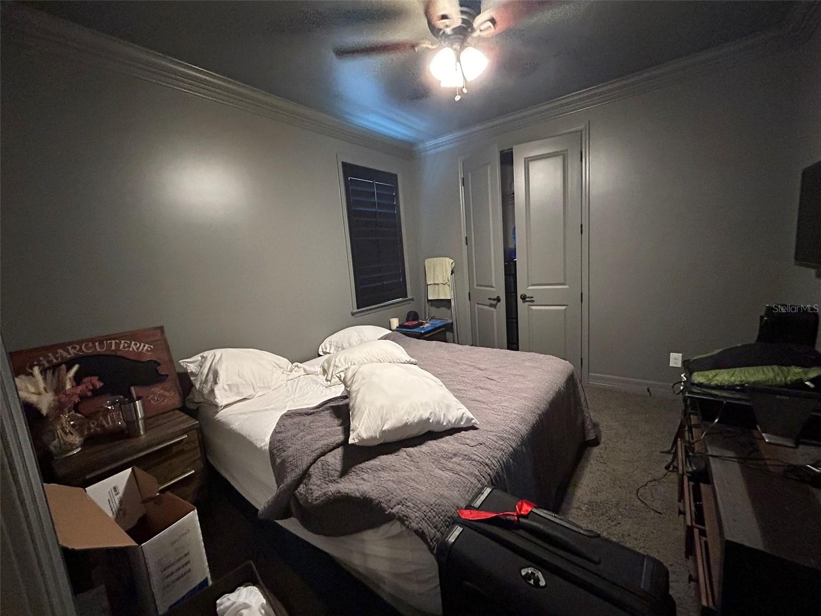 14320 AVON FARMS DR, TAMPA, FL, 33618