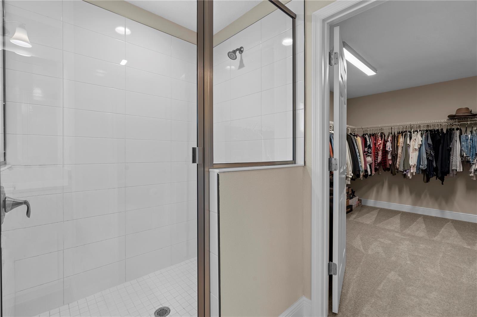 14868 SUMMER BRANCH DR, LITHIA, FL, 33547