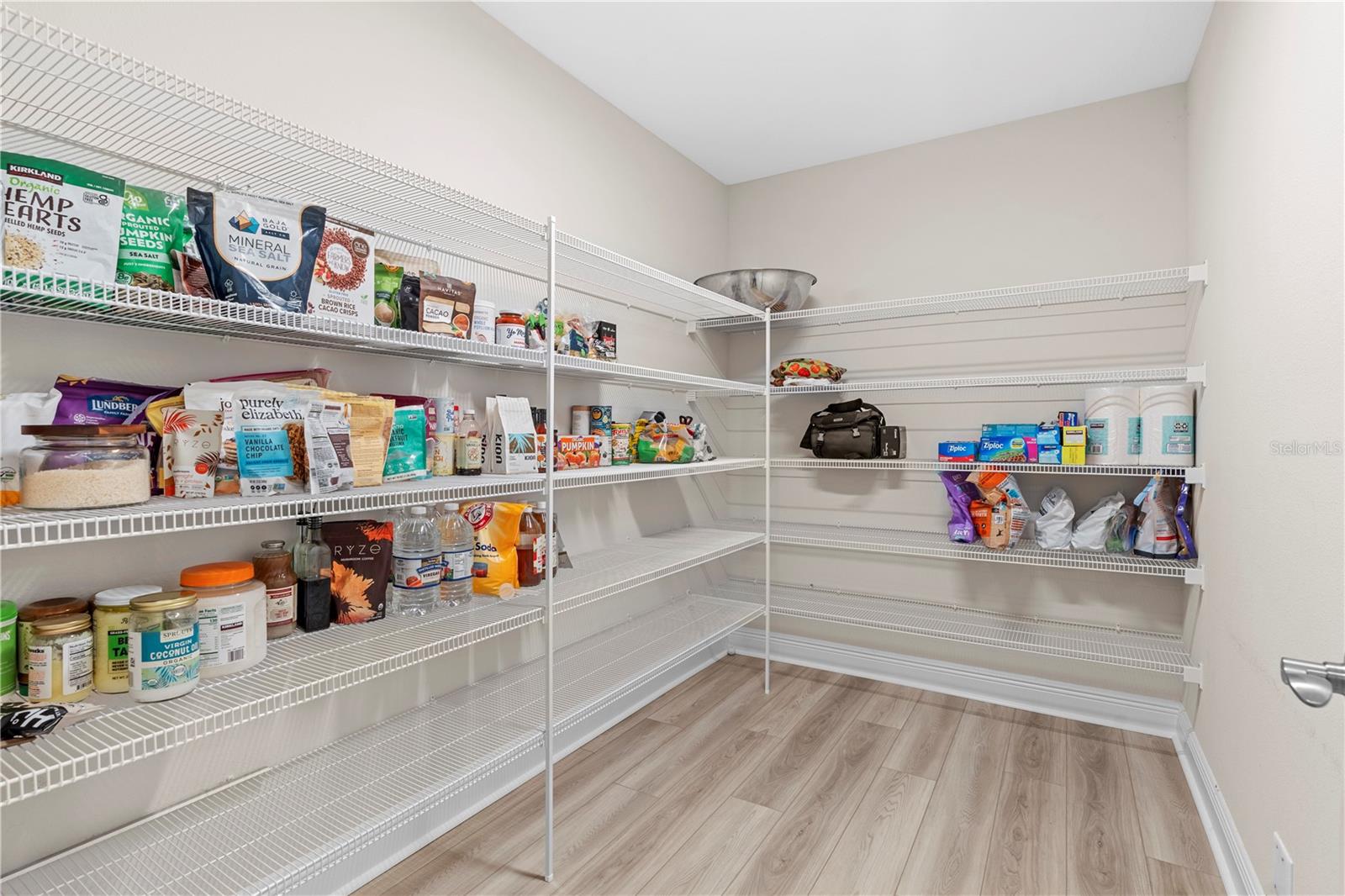 14868 SUMMER BRANCH DR, LITHIA, FL, 33547