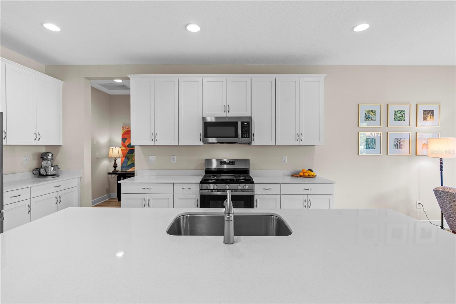 14868 SUMMER BRANCH DR, LITHIA, FL, 33547