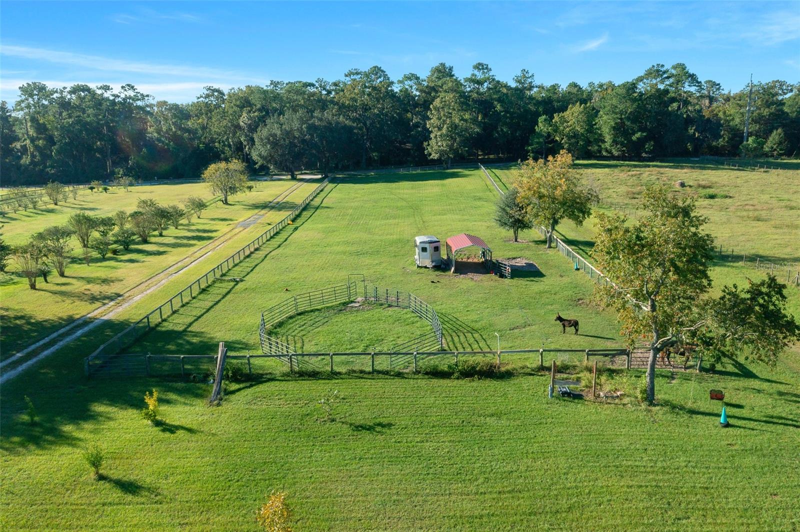 6175 NW 193RD ST, MICANOPY, FL, 32667