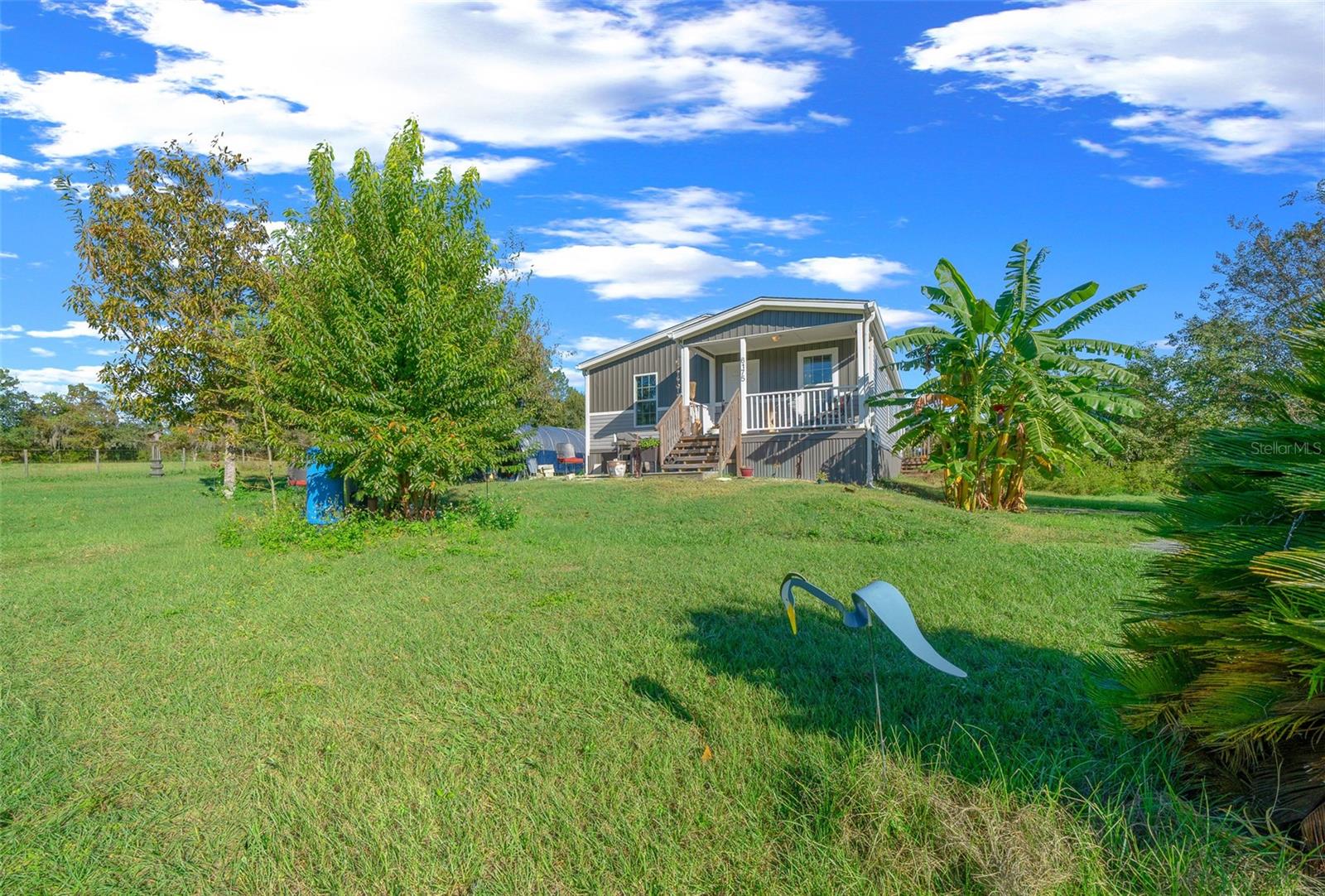 6175 NW 193RD ST, MICANOPY, FL, 32667