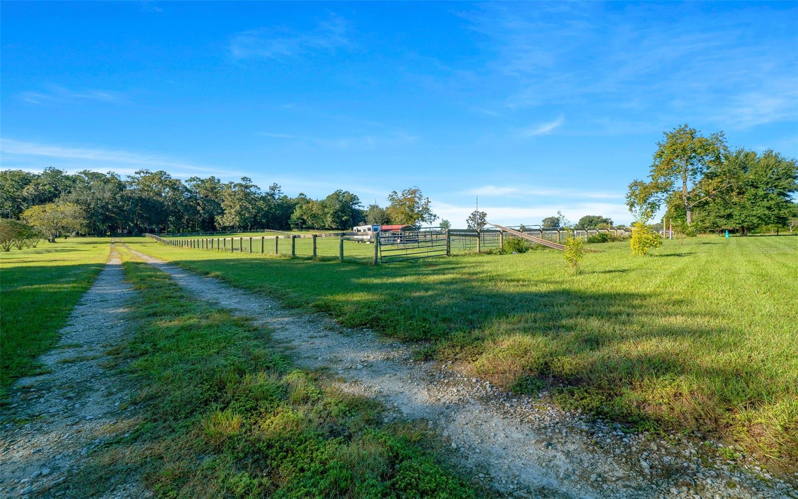 6175 NW 193RD ST, MICANOPY, FL, 32667