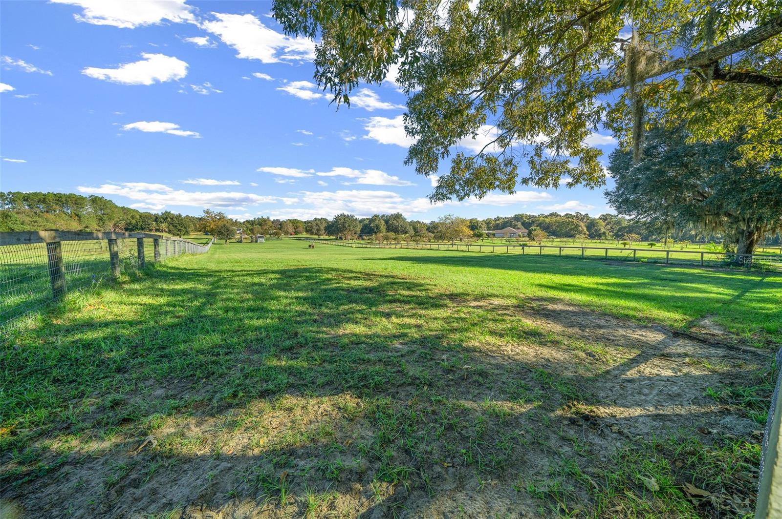 6175 NW 193RD ST, MICANOPY, FL, 32667