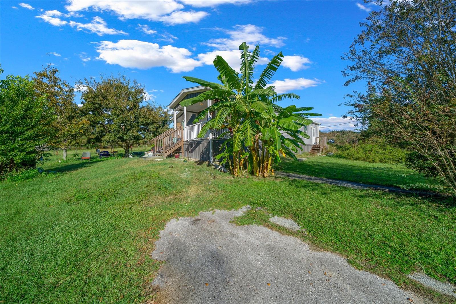 6175 NW 193RD ST, MICANOPY, FL, 32667