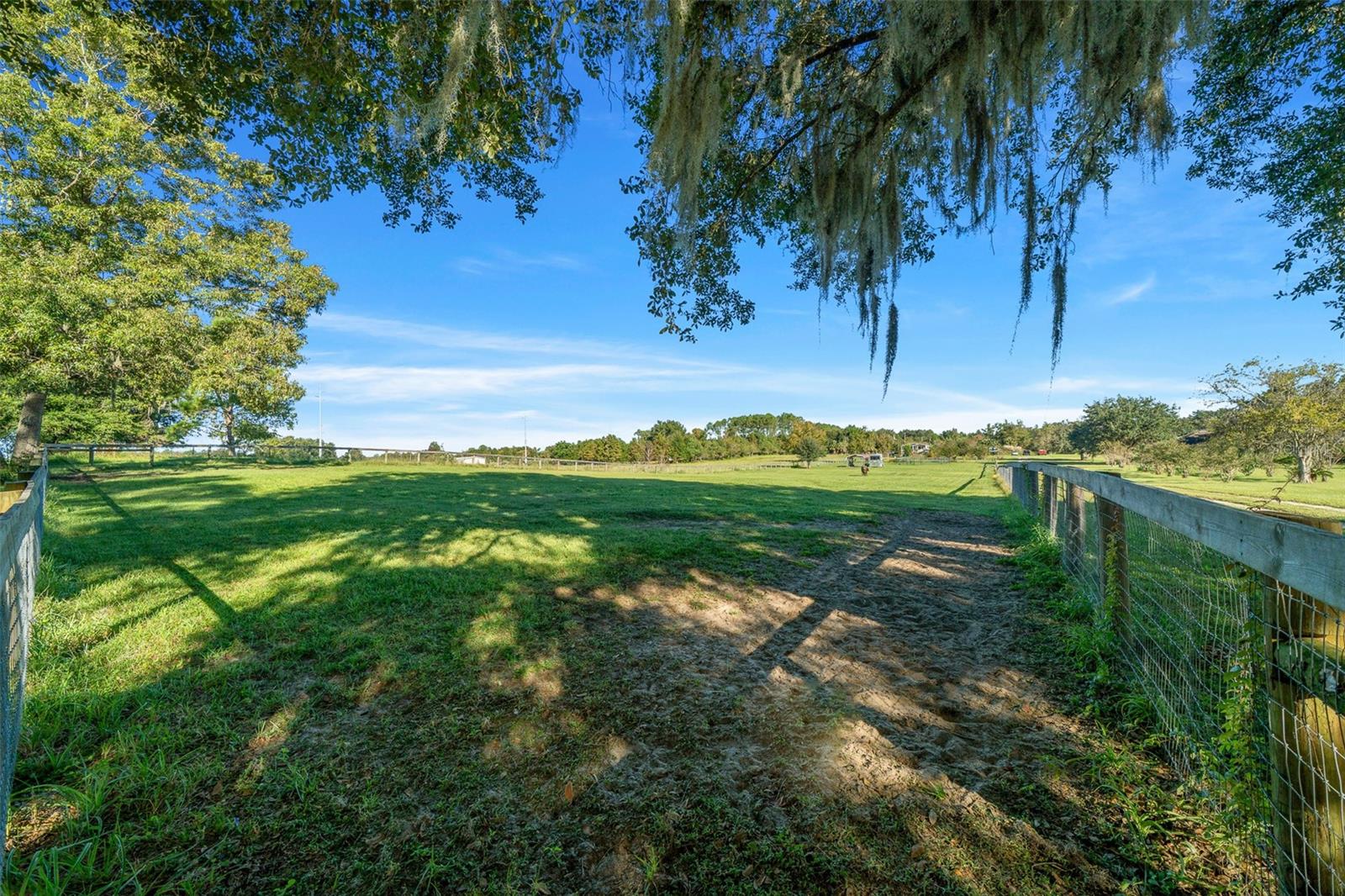 6175 NW 193RD ST, MICANOPY, FL, 32667