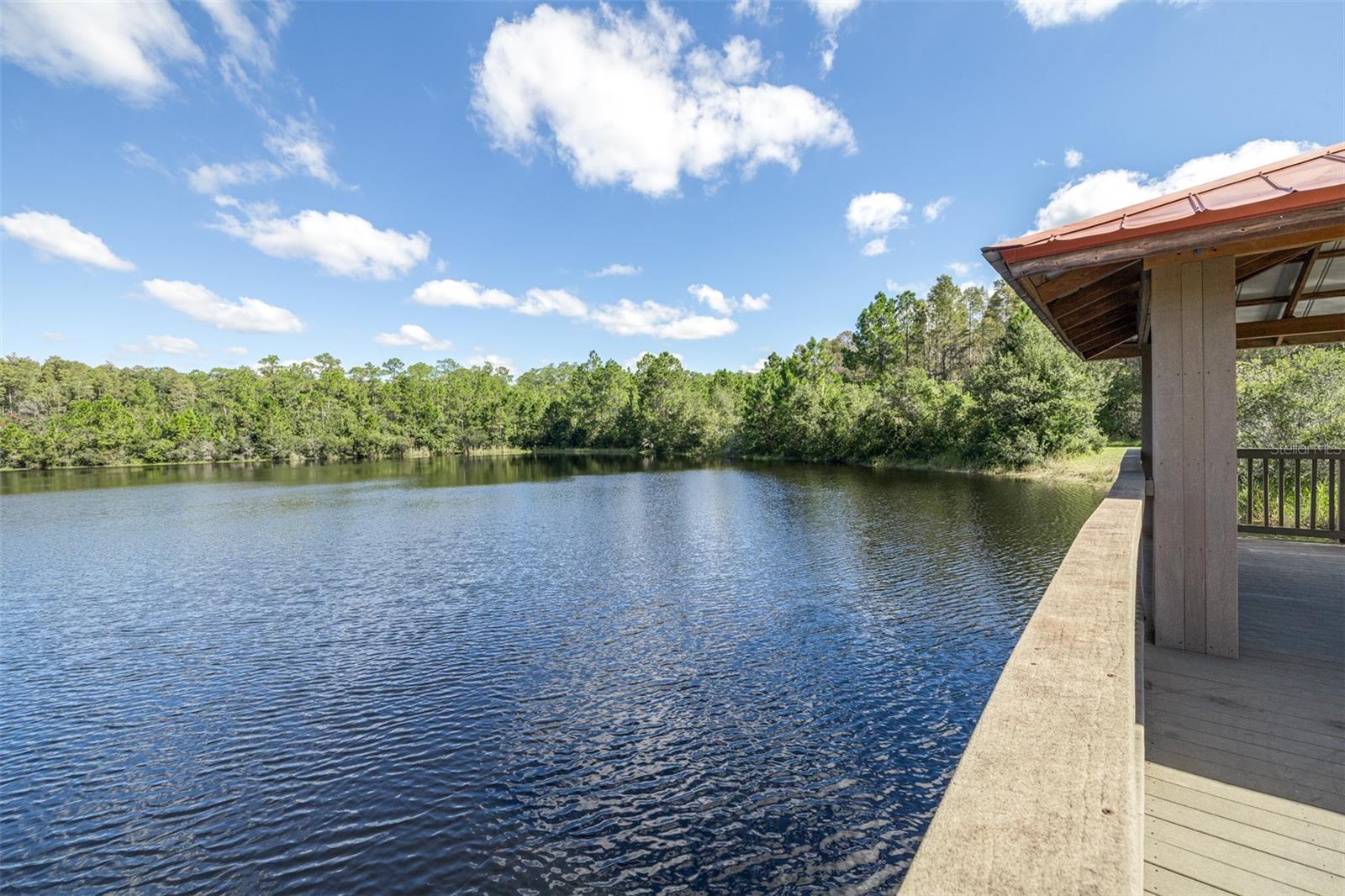 8919 CRYSTAL CREEK CT, LAND O LAKES, FL, 34638