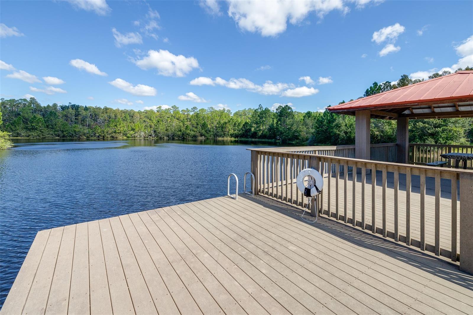 8919 CRYSTAL CREEK CT, LAND O LAKES, FL, 34638