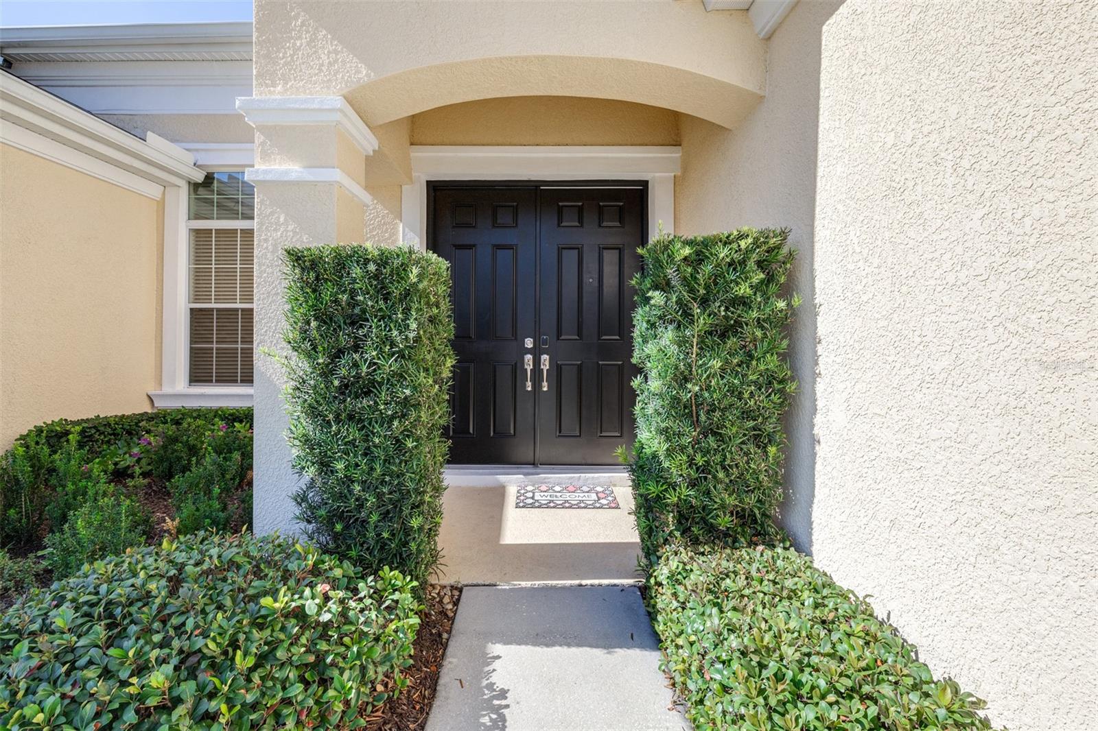 8919 CRYSTAL CREEK CT, LAND O LAKES, FL, 34638