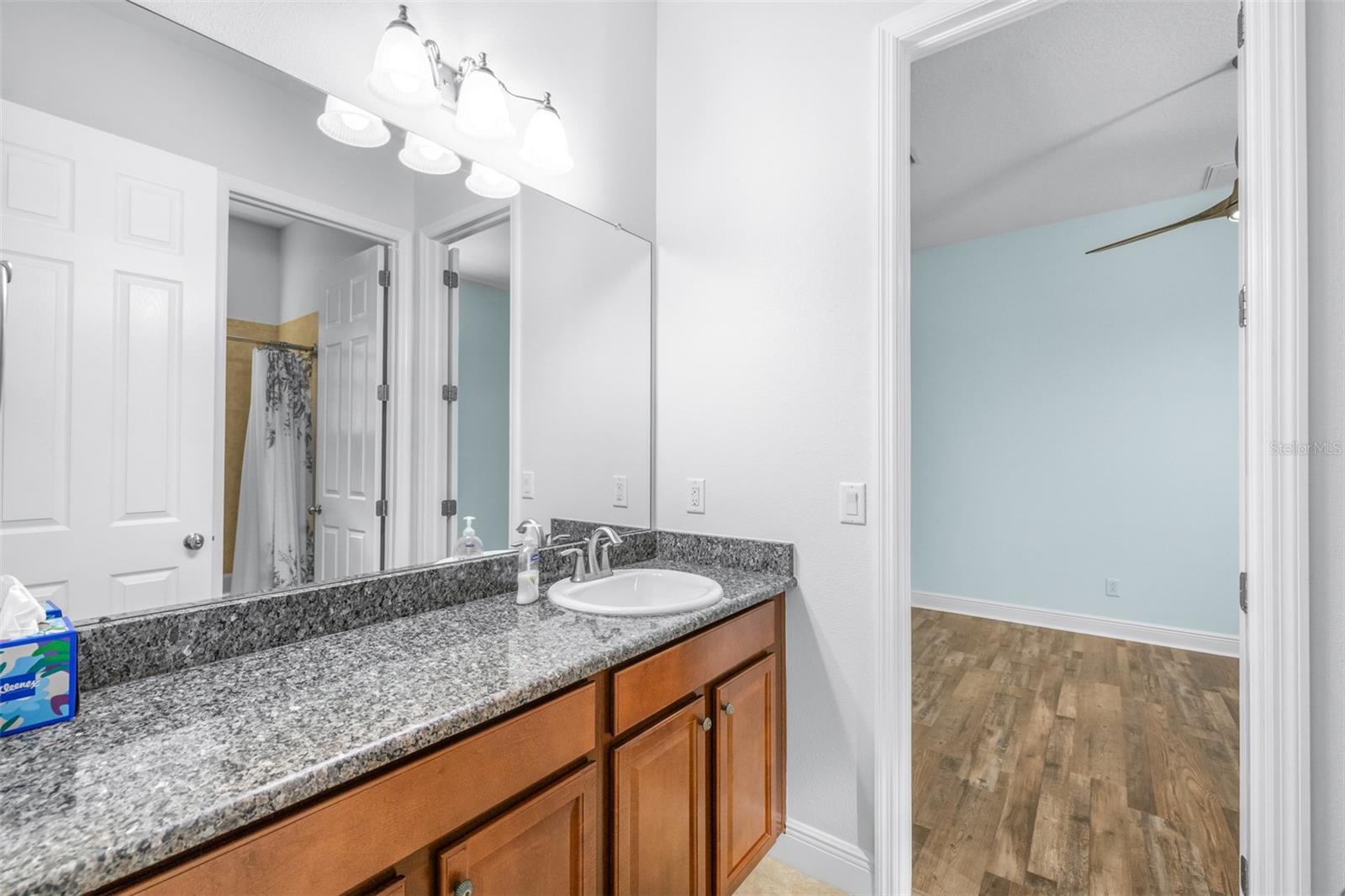 8919 CRYSTAL CREEK CT, LAND O LAKES, FL, 34638