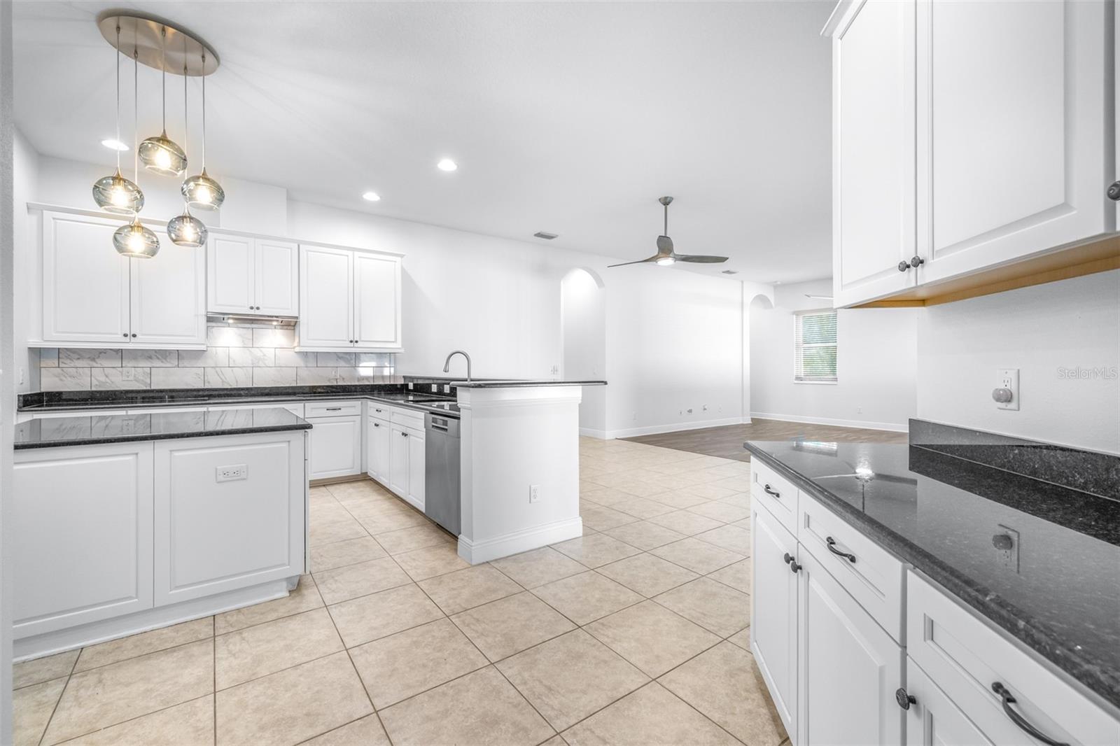 8919 CRYSTAL CREEK CT, LAND O LAKES, FL, 34638