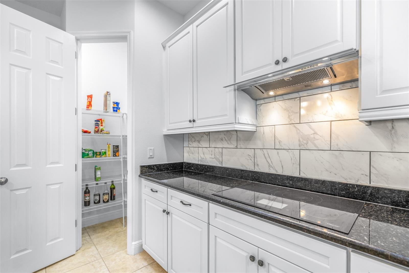 8919 CRYSTAL CREEK CT, LAND O LAKES, FL, 34638