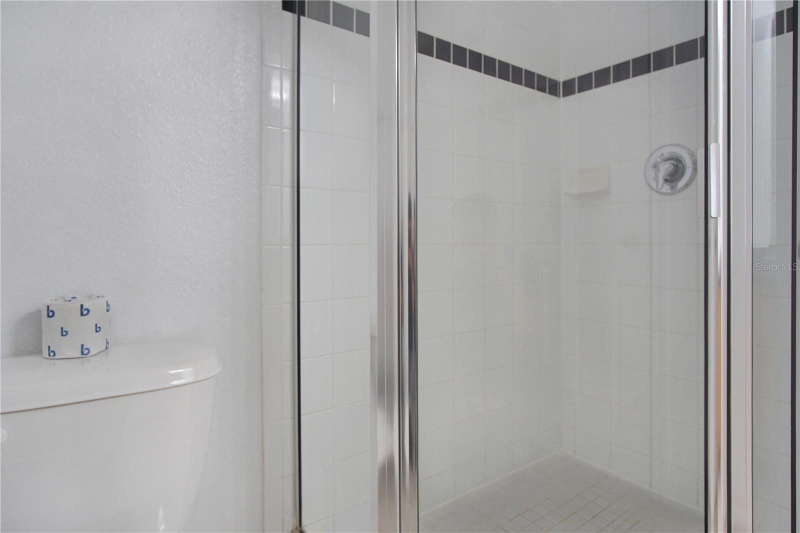 161 CADIZ LOOP, DAVENPORT, FL, 33837