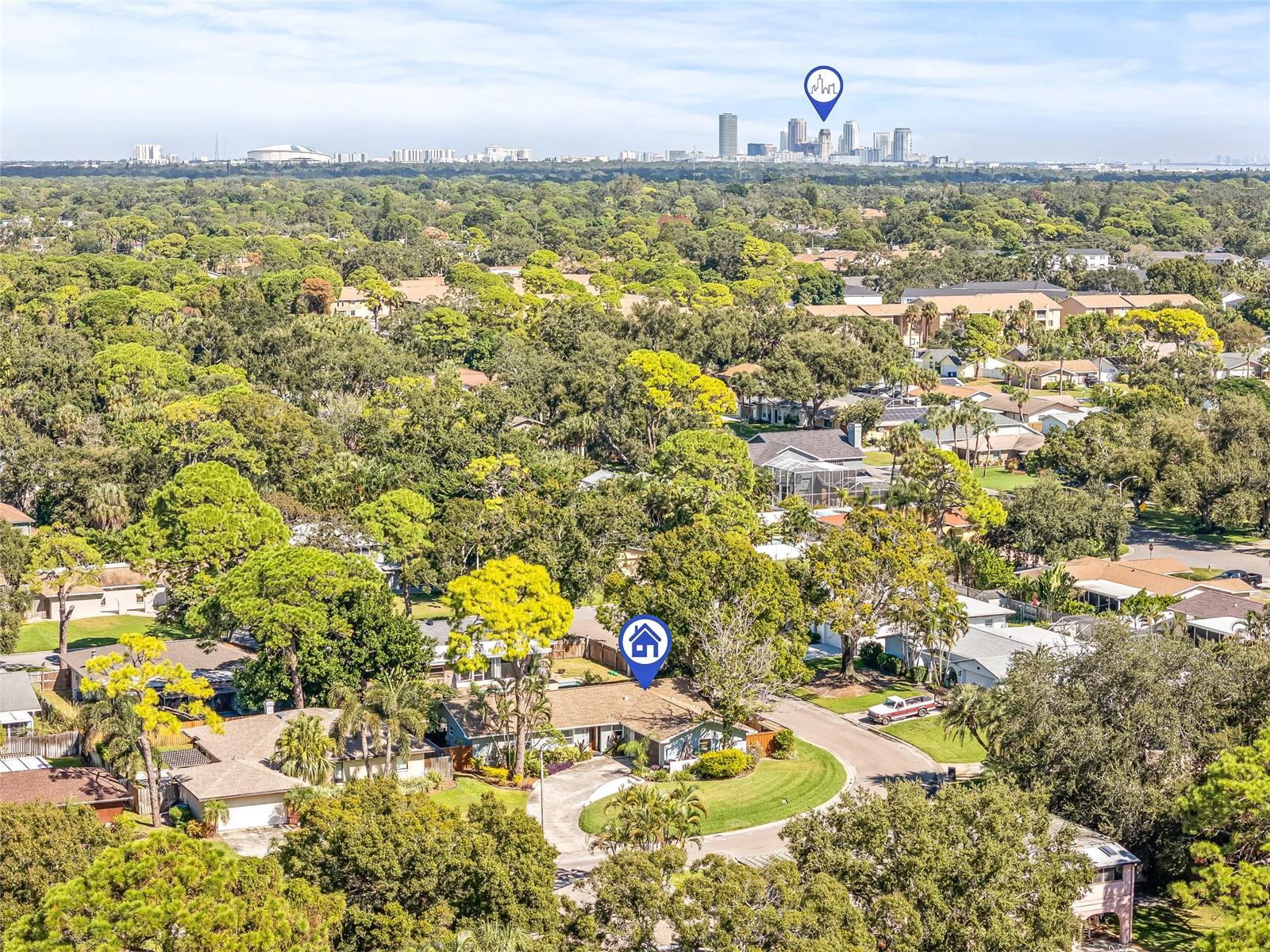 Zip to Downtown St Pete