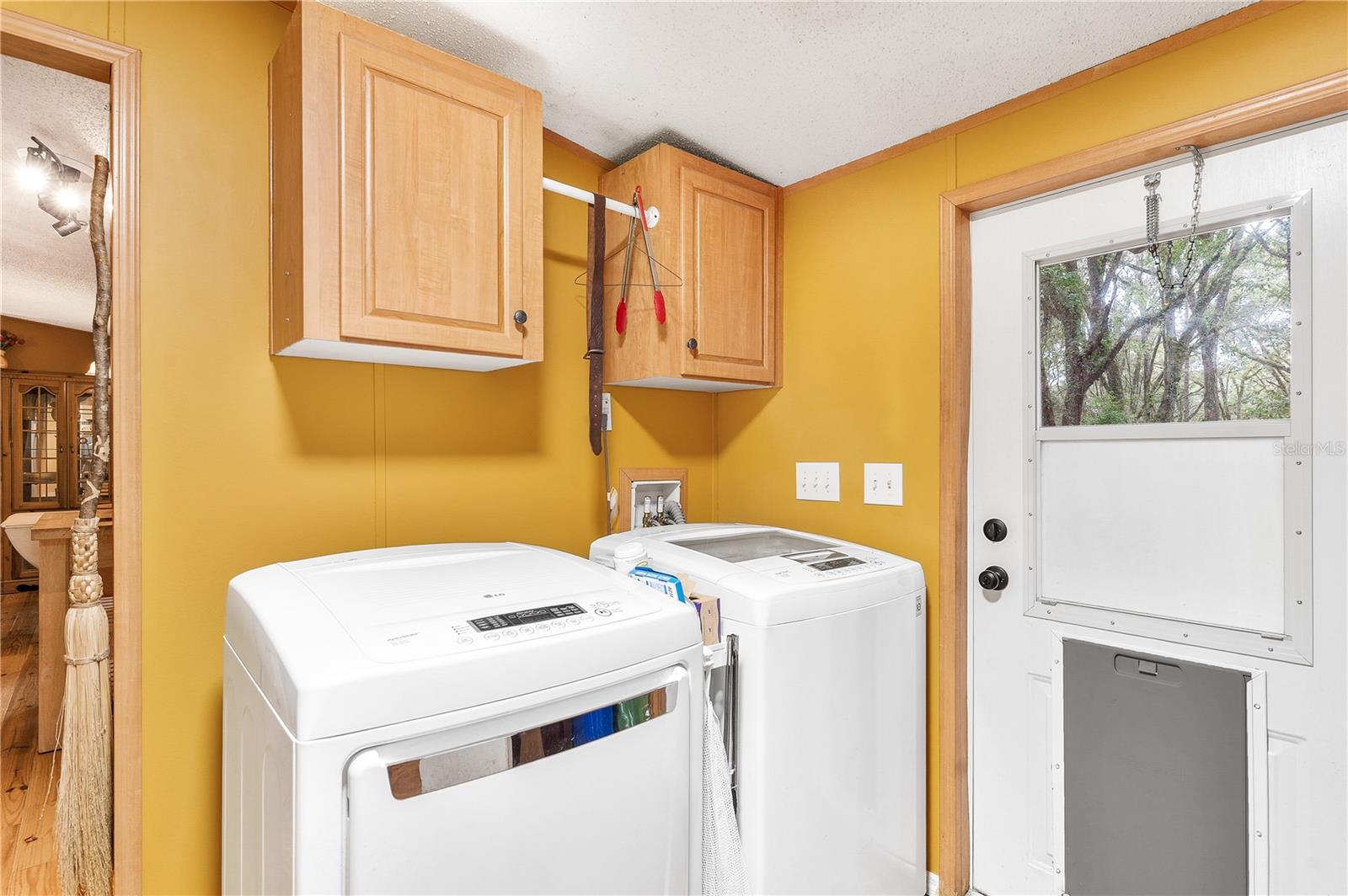 29655 SE 152ND (RAVENSWOOD) PL, ALTOONA, FL, 32702