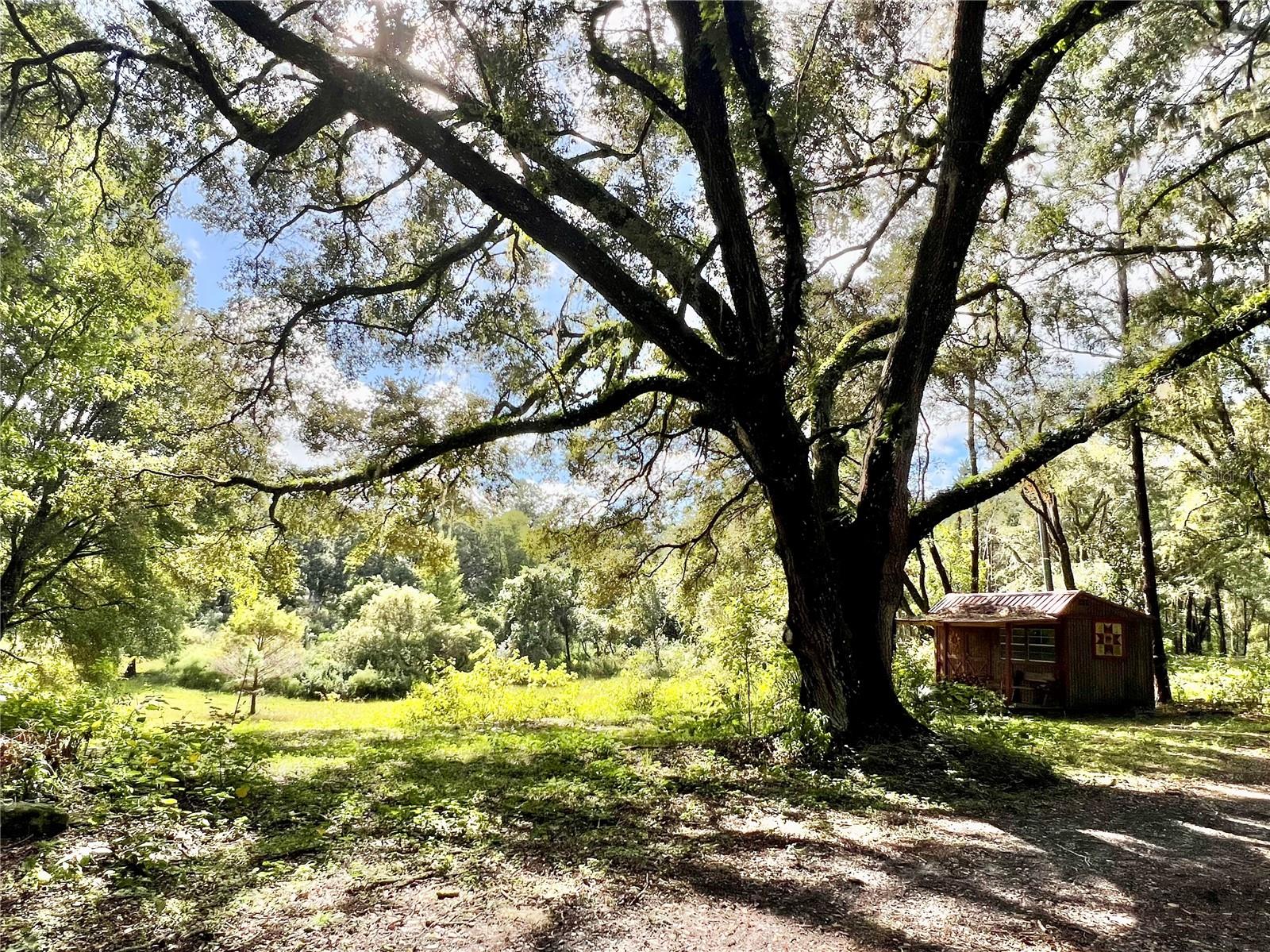 29655 SE 152ND (RAVENSWOOD) PL, ALTOONA, FL, 32702