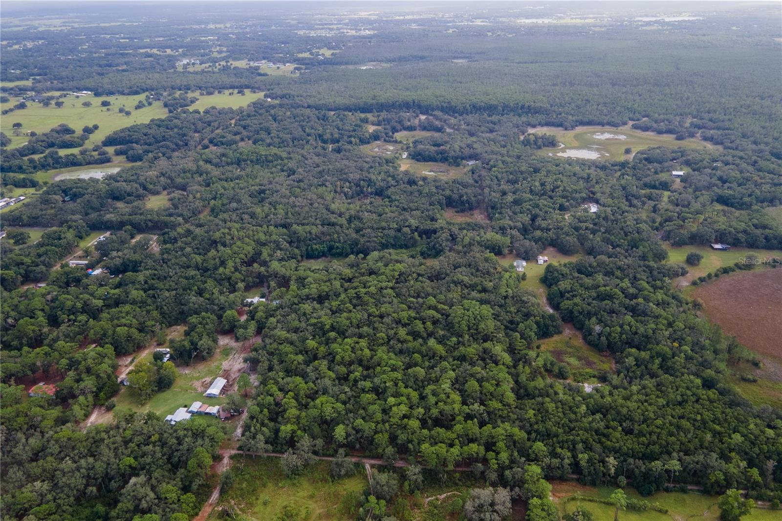 29655 SE 152ND (RAVENSWOOD) PL, ALTOONA, FL, 32702