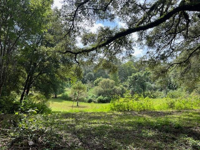 29655 SE 152ND (RAVENSWOOD) PL, ALTOONA, FL, 32702