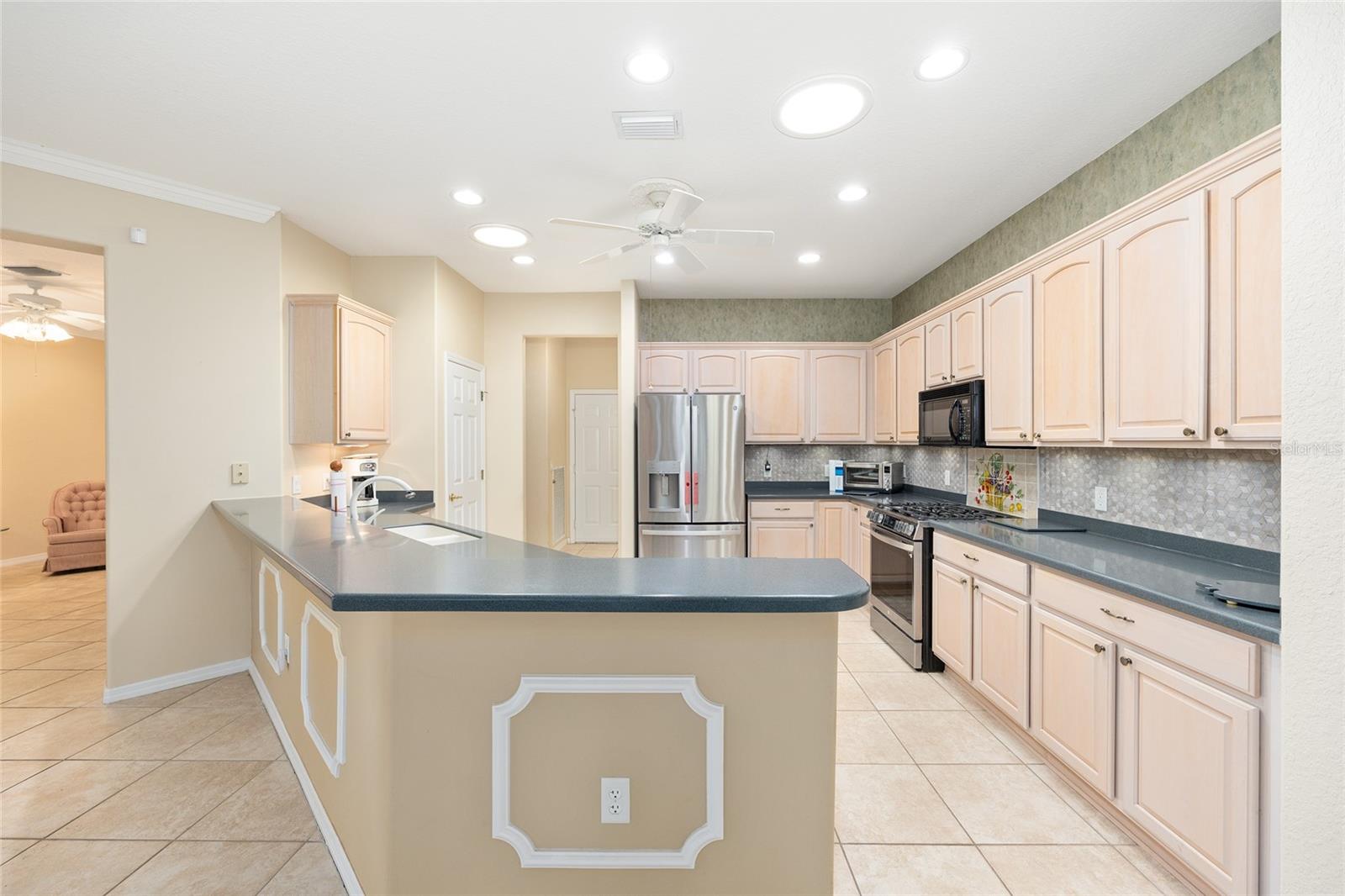 9019 SE 120TH LOOP, SUMMERFIELD, FL, 34491