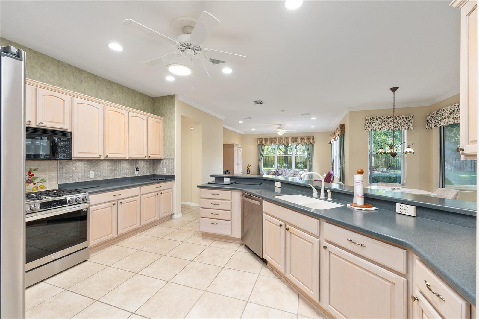 9019 SE 120TH LOOP, SUMMERFIELD, FL, 34491