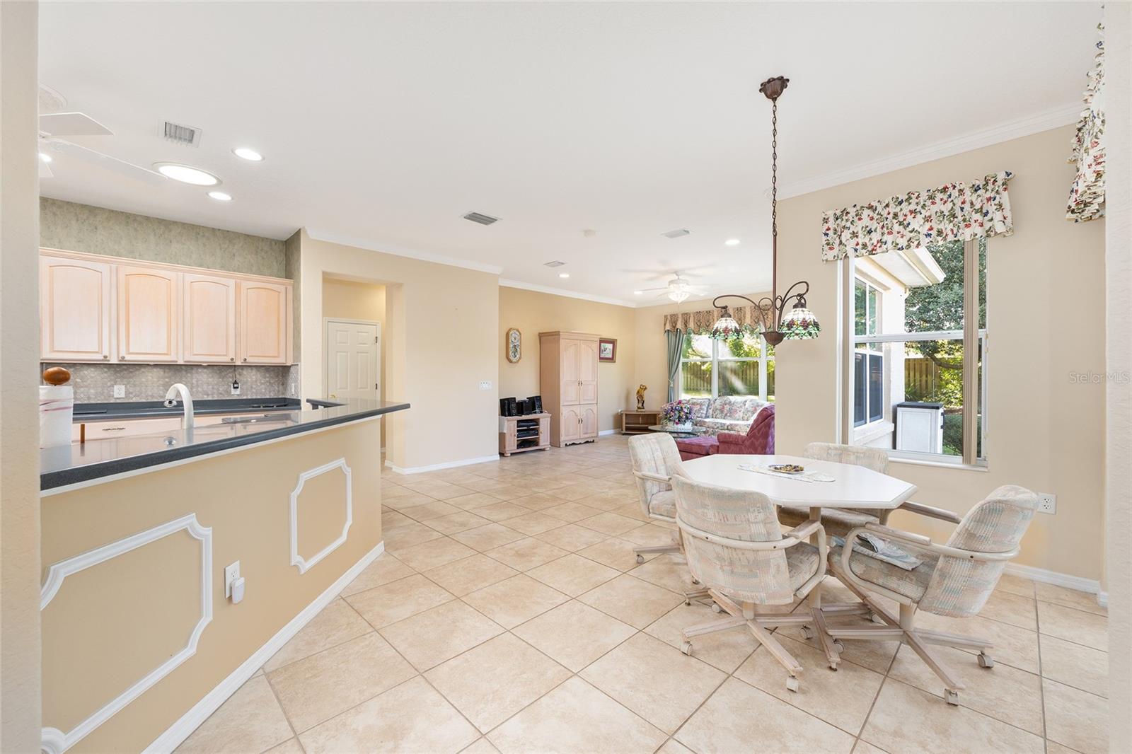 9019 SE 120TH LOOP, SUMMERFIELD, FL, 34491