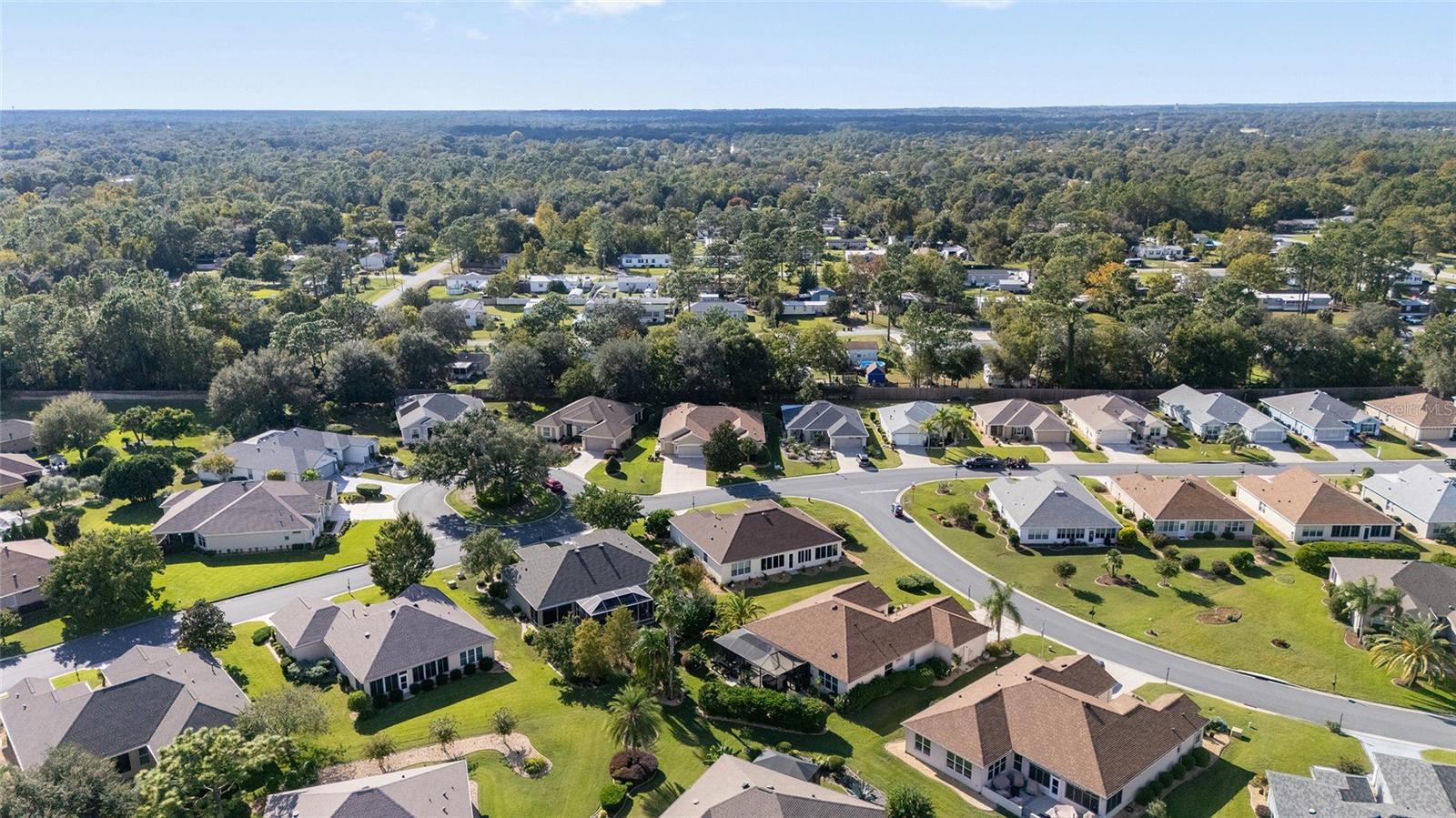 9019 SE 120TH LOOP, SUMMERFIELD, FL, 34491