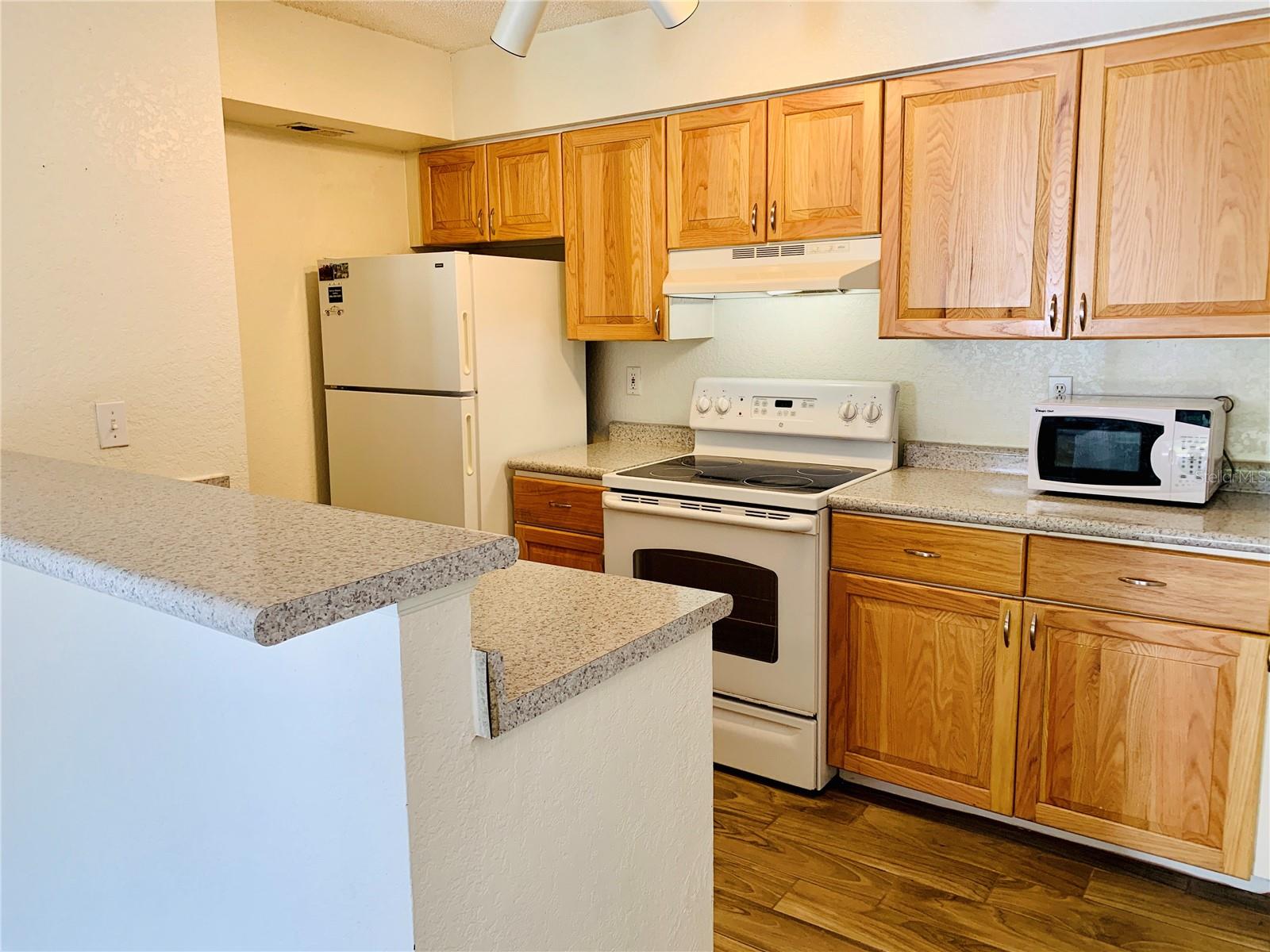 5064 PARK CENTRAL DR #1718, ORLANDO, FL, 32839