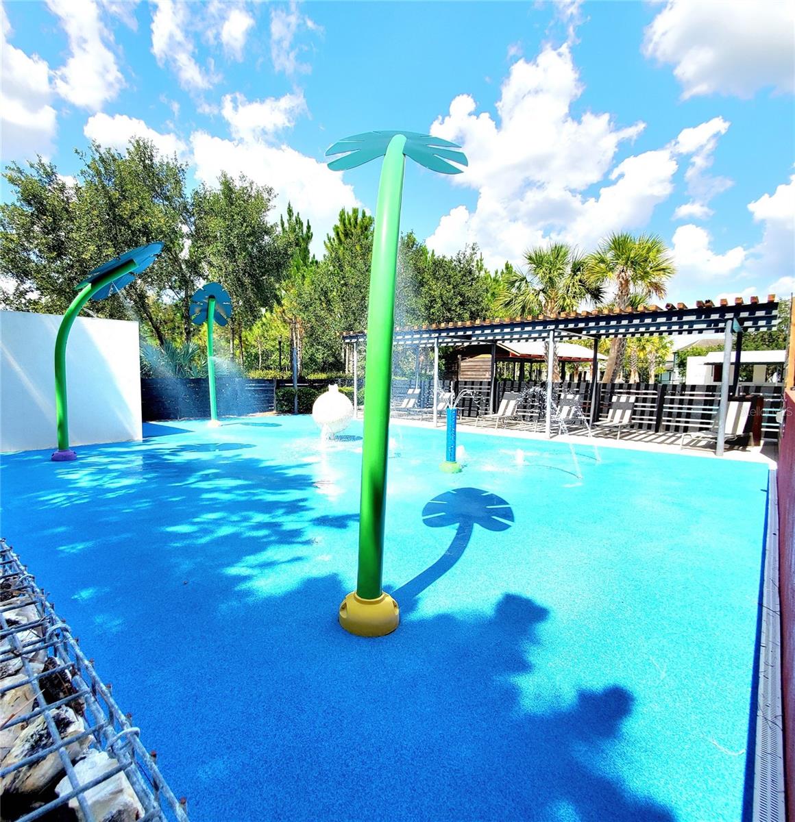 12676 RANGELAND BLVD, ODESSA, FL, 33556